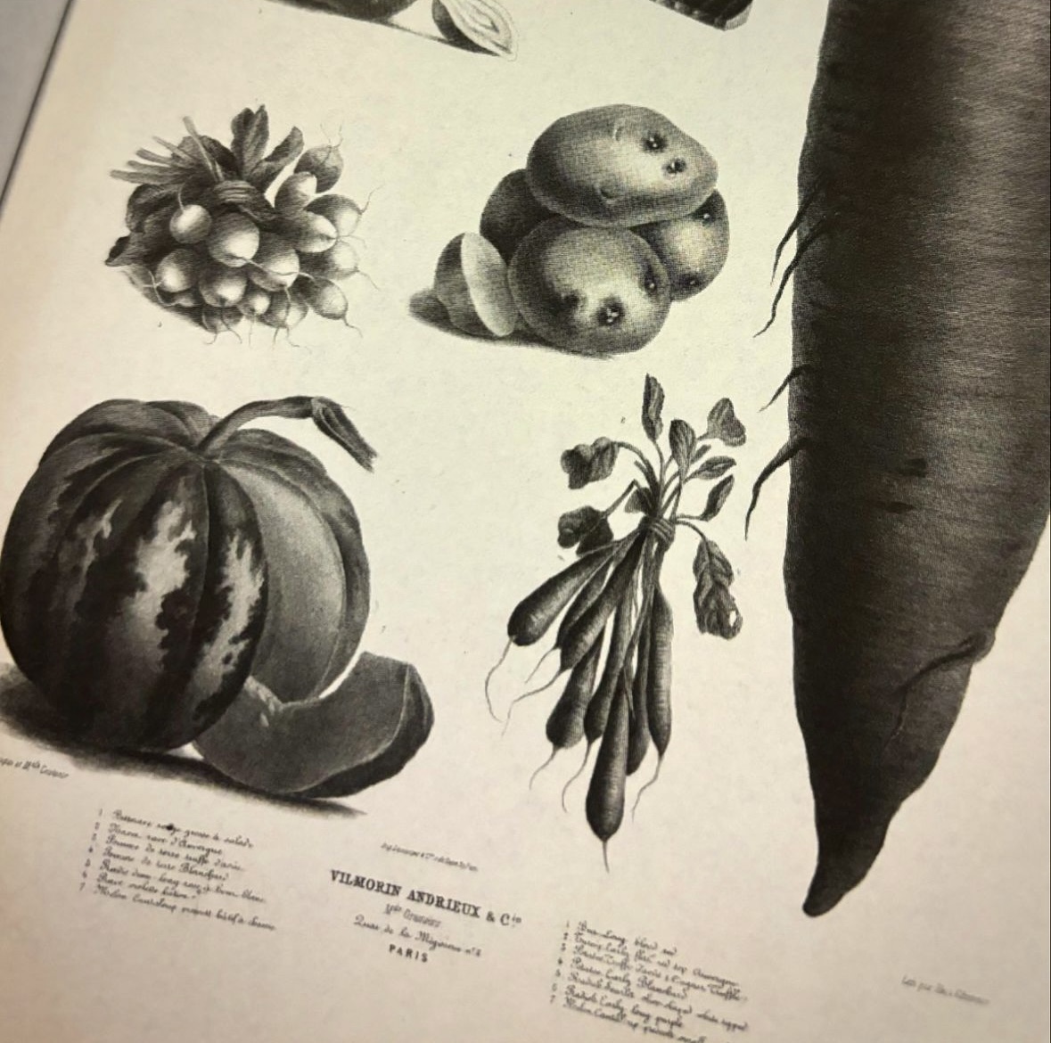 British Library Publishing (@bl_publishing) on Twitter photo Cover reveal! We are thrilled to announce that @thomeagle is joining our 'Philosophy of...' gang. The Philosophy of Pickles and Fermented Foods publishes this September. This book will cover all aspects of pickling with images from the BL collection. Pre-order now from <a href="/bl_shop/">British Library Shop</a>! Cover reveal! We are thrilled to announce that @thomeagle is joining our 'Philosophy of...' gang. The Philosophy of Pickles and Fermented Foods publishes this September. This book will cover all aspects of pickling with images from the BL collection. Pre-order now from <a href="/bl_shop/">British Library Shop</a>!