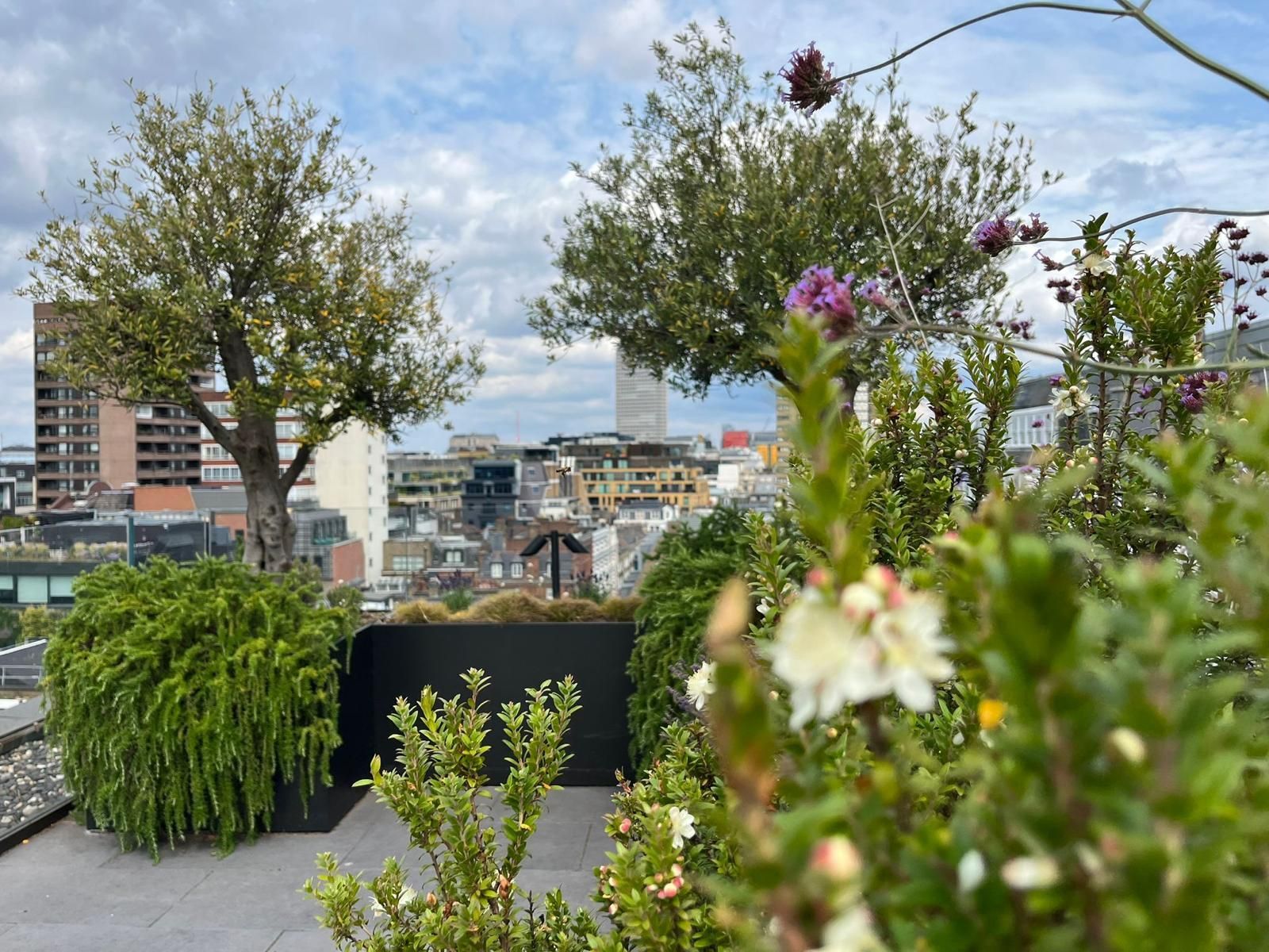 Elegant Urban Rooftop Gardens