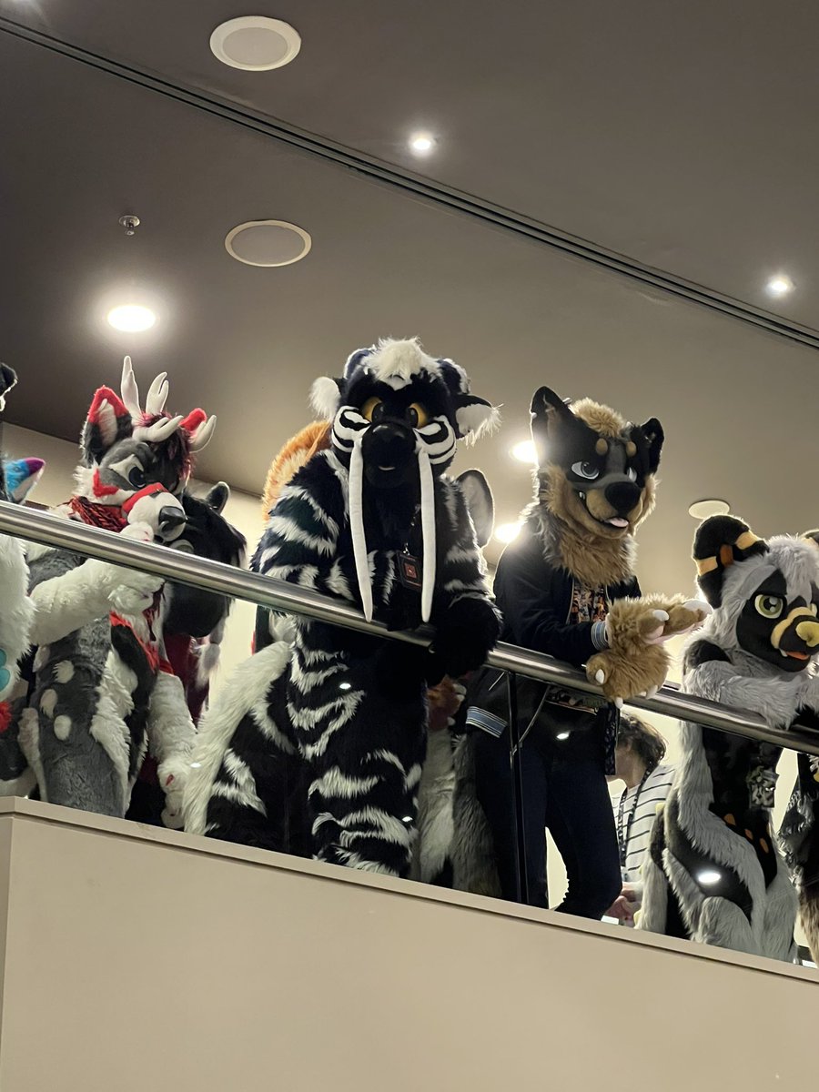 This Aurawra really was the year of the dragon!