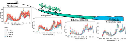 R.A. Viscarra Rossel (@raphvr) on Twitter photo Here we show how mid-infrared spectroscopy determines the provenance of coastal marine soils and their organic and inorganic C contents. Well done team! <a href="/lewis__walden/">Lewis Walden</a> <a href="/oserranogras/">Oscar Serrano</a> <a href="/willamzhope/">Williamzhope</a> et al.
#SLSG <a href="/CurtinEandA/">Curtin MLS</a> <a href="/CurtinUni/">Curtin University</a> <a href="/CurtinMedia/">Curtin Media</a>
sciencedirect.com/science/articl… Here we show how mid-infrared spectroscopy determines the provenance of coastal marine soils and their organic and inorganic C contents. Well done team! <a href="/lewis__walden/">Lewis Walden</a> <a href="/oserranogras/">Oscar Serrano</a> <a href="/willamzhope/">Williamzhope</a> et al.
#SLSG <a href="/CurtinEandA/">Curtin MLS</a> <a href="/CurtinUni/">Curtin University</a> <a href="/CurtinMedia/">Curtin Media</a>
sciencedirect.com/science/articl…