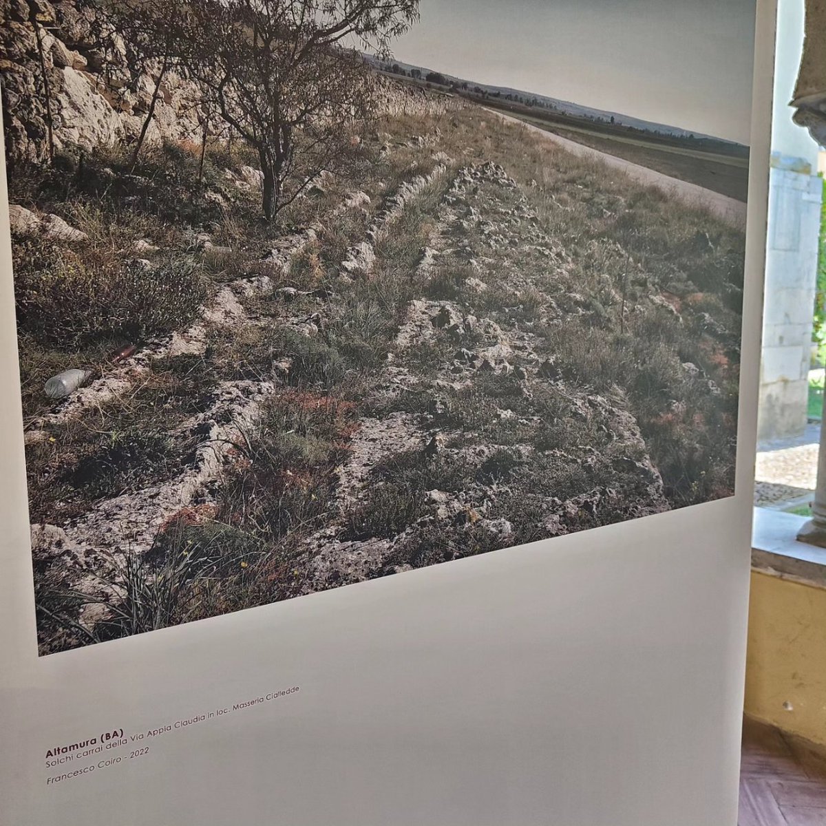 JosefPalladino's tweet photo. Oggi presso il Museo Del Sannio di Benevento è stata inaugurata una suggestiva mostra fotografica sulla Via Appia, già patrimonio Unesco. Straordinaria la presenza del Sindaco Mastella.

 #giuseppepalladino #regionepuglia #regionecampania  #regionebasilicata #regionelazio https://t.co/90xOmzUb2N