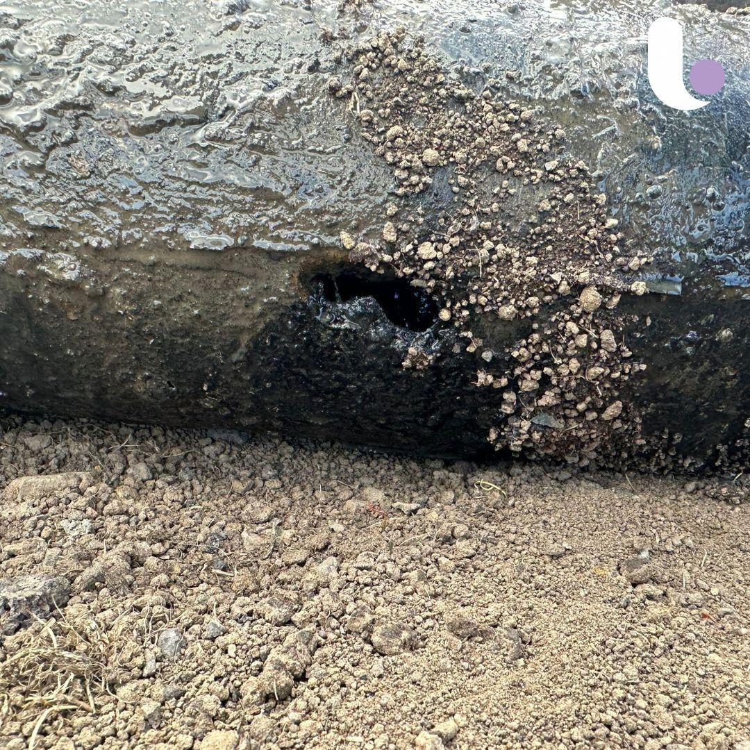 Libra Utility successfully fixed a sewage leak at Newcastle Race Course caused by a damaged rising main located 140m from the pumping station. 

We expertly traced and located the leak before excavating and replacing the faulty section with new 150mm mdpe piping.

#LeakDetection