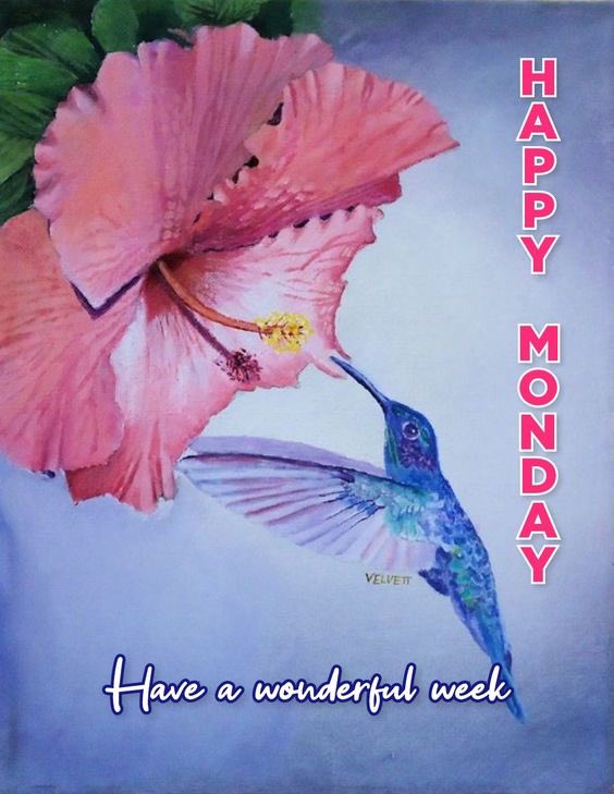 <a href="/geonelroma/">Gee Enne</a> Buon lunedì George.