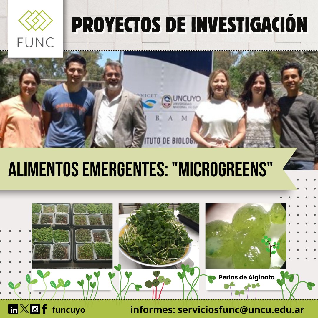 FUNCuyo's tweet photo. Desde la FUNC acompañamos al proyecto de investigación de la Dra. Alejandra Camargo, cuyo objetivo es investigar la producción de microgreens, como una alternativa para aumentar el consumo de compuestos bioactivos que ayudan a prevenir enfermedades crónicas. https://t.co/rIz5rhzgjT