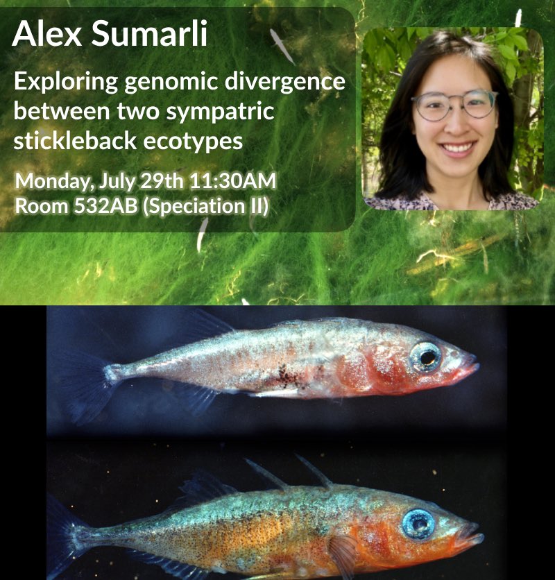Hey #evolution2024, come see my awesome student Alex talk about her work on a very unusual stickleback species pair today at 1130!