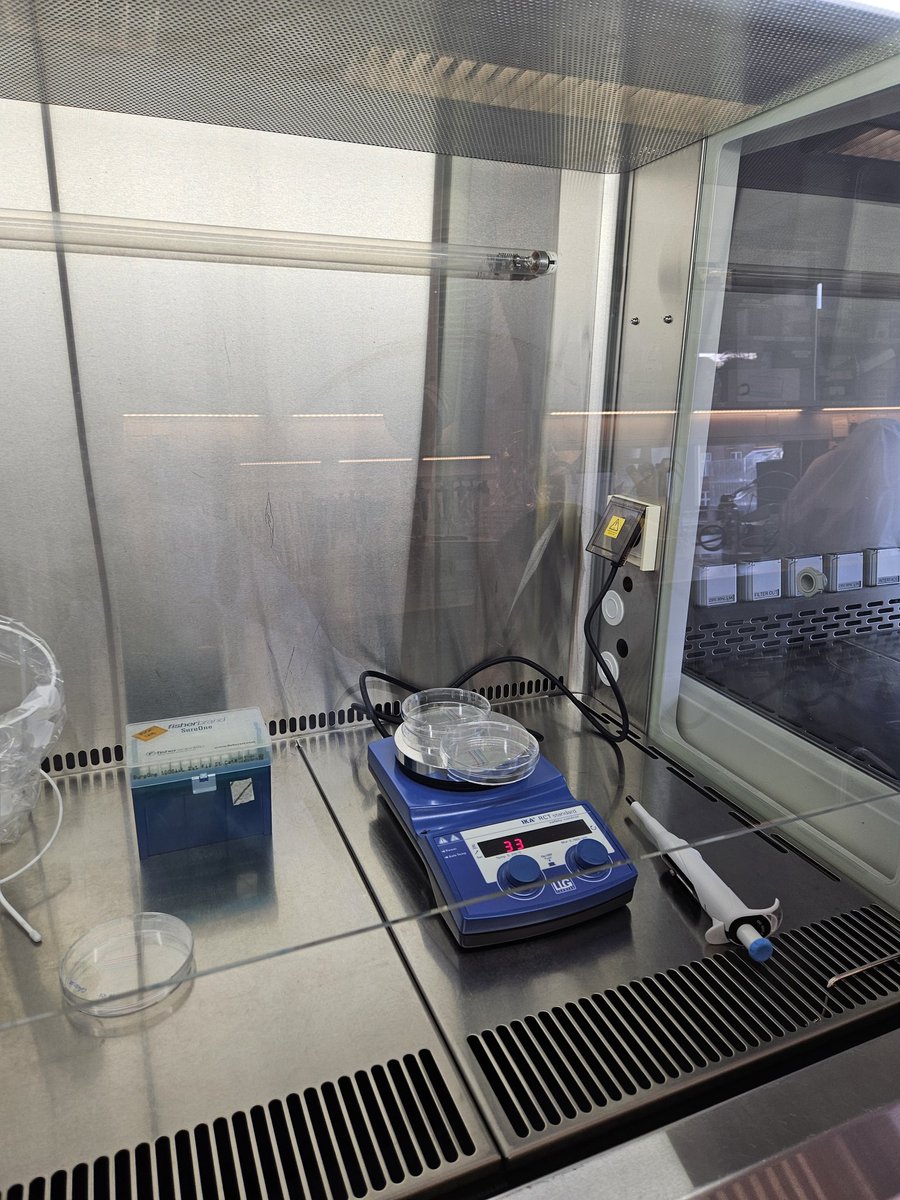 DrAndiWilson's tweet photo. Another day, another assay 😅 #INNOFUN https://t.co/wAuTvBHPNA