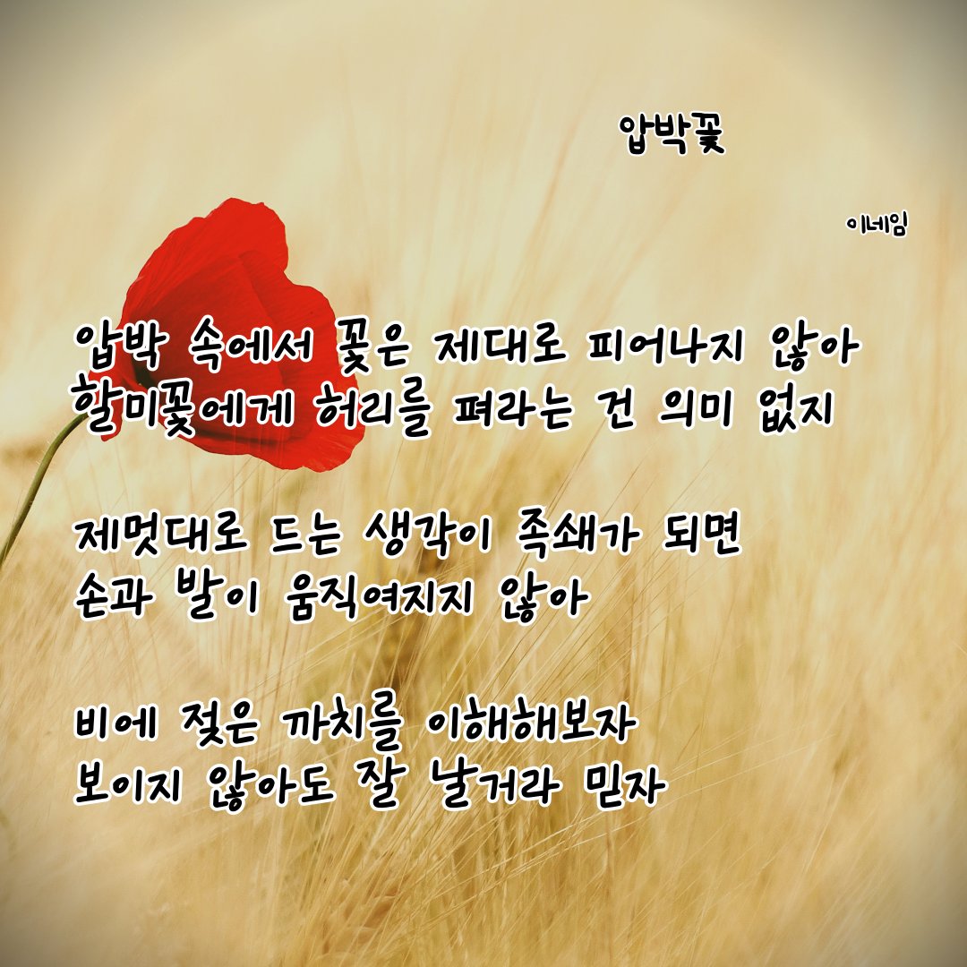 Neim_Lee's tweet photo. 압박꽃

#시 #에세이 #자작시 #이네임 #글귀 #글스타그램 #시스타그램 #압박꽃 #까치 #압박 #할미꽃 #족쇄 https://t.co/hO11QY1qGU