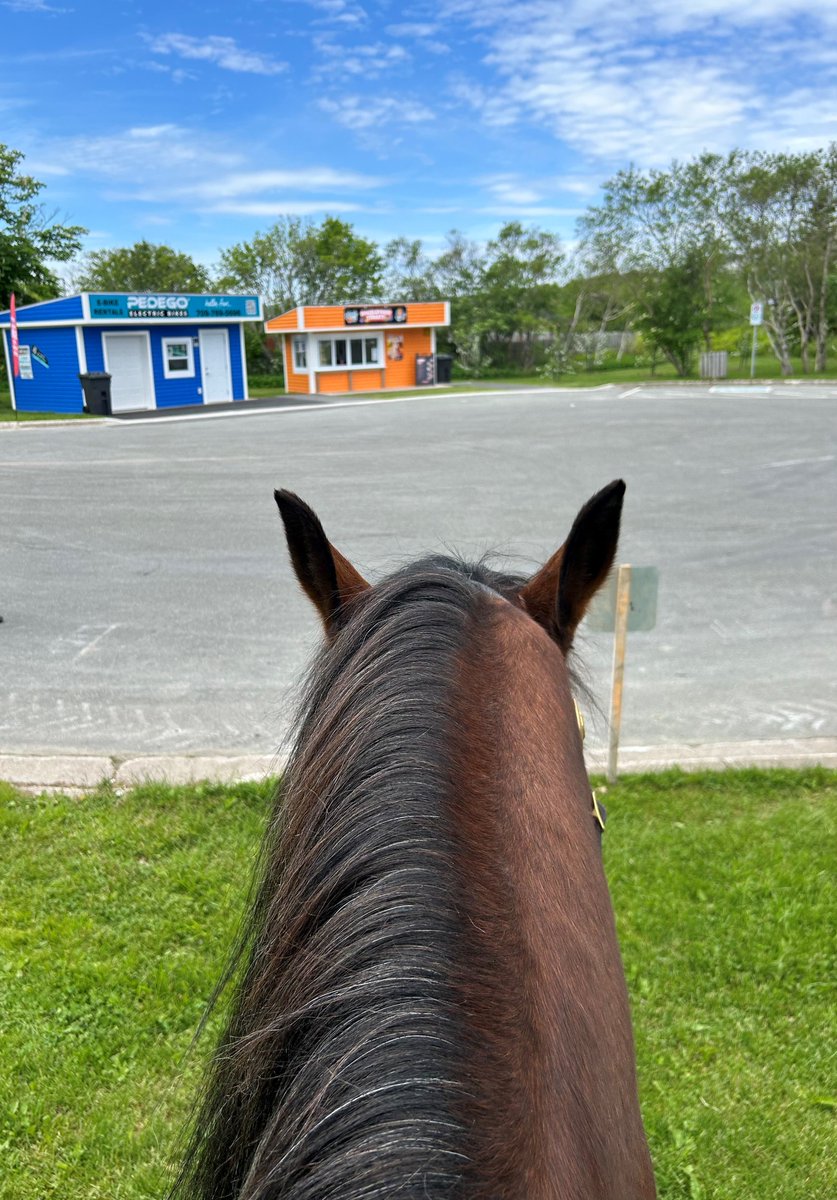 RNC_PoliceNL's tweet photo. Residents can expect to see patrols by bike and by horse, in parks and greenspaces, and in pedestrian-only areas. 
These patrols allow RNC officers to address concerns people may have and provide information around personal safety and crime prevention.

💻 https://t.co/zfy965C65u https://t.co/6ICGasBsjc