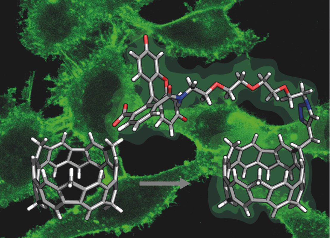 Itamilab's tweet photo. Our preprint on water-soluble aromatic nanobelts with unique cellular internationalization, which were made by amazing @Guenther_Chem during his 7-months stay in our lab followed by further studies by @adwgj8x, is now out in @ChemRxiv! Congrats all!
https://t.co/CFCyQP0Me2 https://t.co/FvpWTuMhun