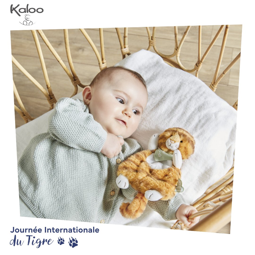 ComandKids's tweet photo. C'est la journée internationale du tigre et nous sommes ravies de vous présenter Papaye, le tigre agile qui incarne aventure et sagesse chez Kaloo . 🐅

Nous sommes certaines que Bébé et Papaye seront "félins" pour l'autre ! 🧡

#tigre #enfant #peluche https://t.co/NbZdZ3tR58