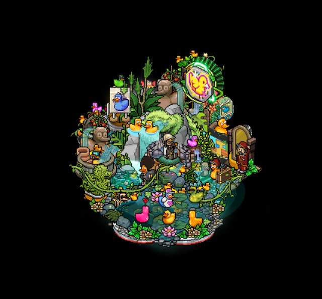 Revised Donnie's Duck Sanctuary. It's a little crowded now, he kept taking in ducks.

How many ducks do you see?

<a href="/Habbo/">Habbo</a> #Habbo