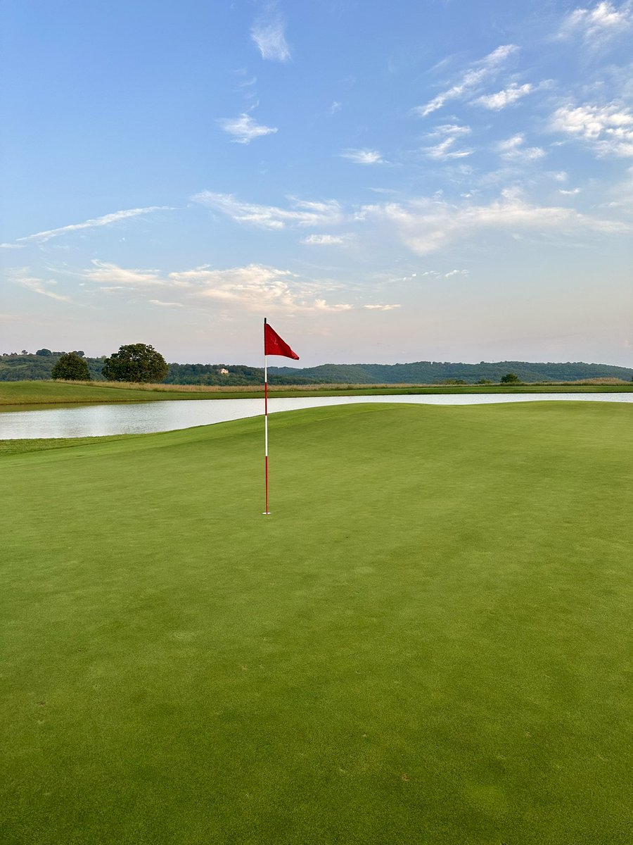 Chris Notestine ⛳️ tweet media