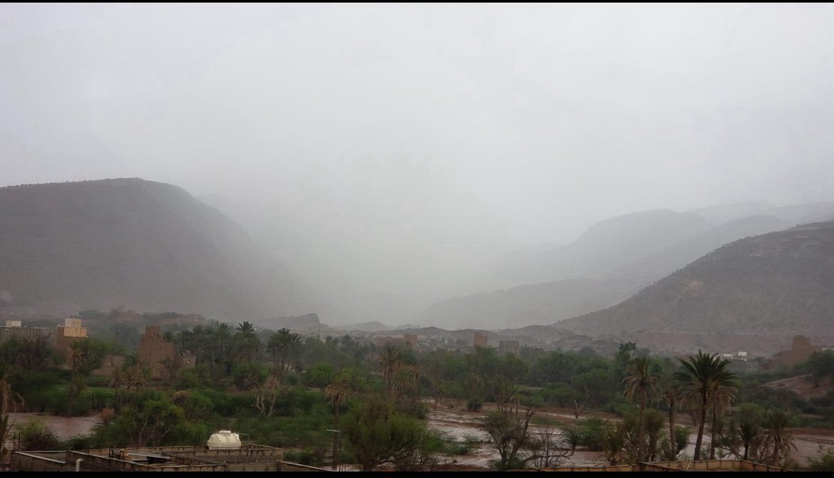 #شبوه_حبان
مباشر #هدى