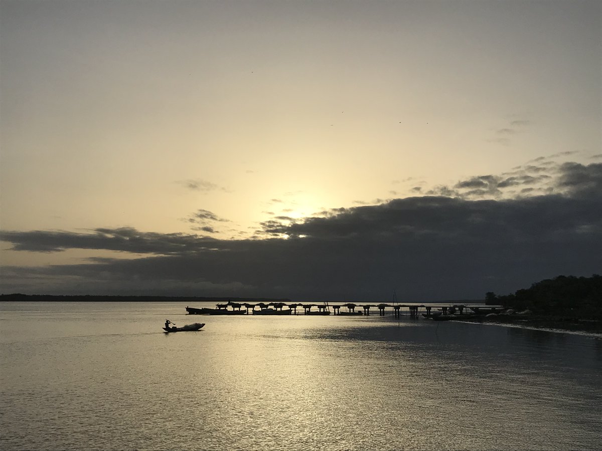 Jack Greenhalgh (@wildaudiojack) on Twitter photo Studying the effects of saltwater intrusion with the #Salbia team in the Gambia River🇬🇲, a thread 🧵
1. It was a real privilege to join the #Salbia team in The Gambia to deploy some <a href="/OpenAcoustics/">Open Acoustic Devices</a> HydroMoths alongside their comprehensive sampling campaign (see below 4 more ) Studying the effects of saltwater intrusion with the #Salbia team in the Gambia River🇬🇲, a thread 🧵
1. It was a real privilege to join the #Salbia team in The Gambia to deploy some <a href="/OpenAcoustics/">Open Acoustic Devices</a> HydroMoths alongside their comprehensive sampling campaign (see below 4 more )