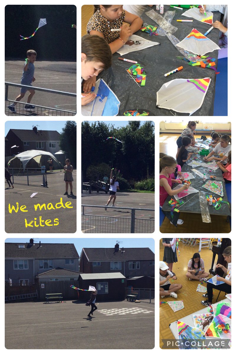 Trinant Primary tweet media