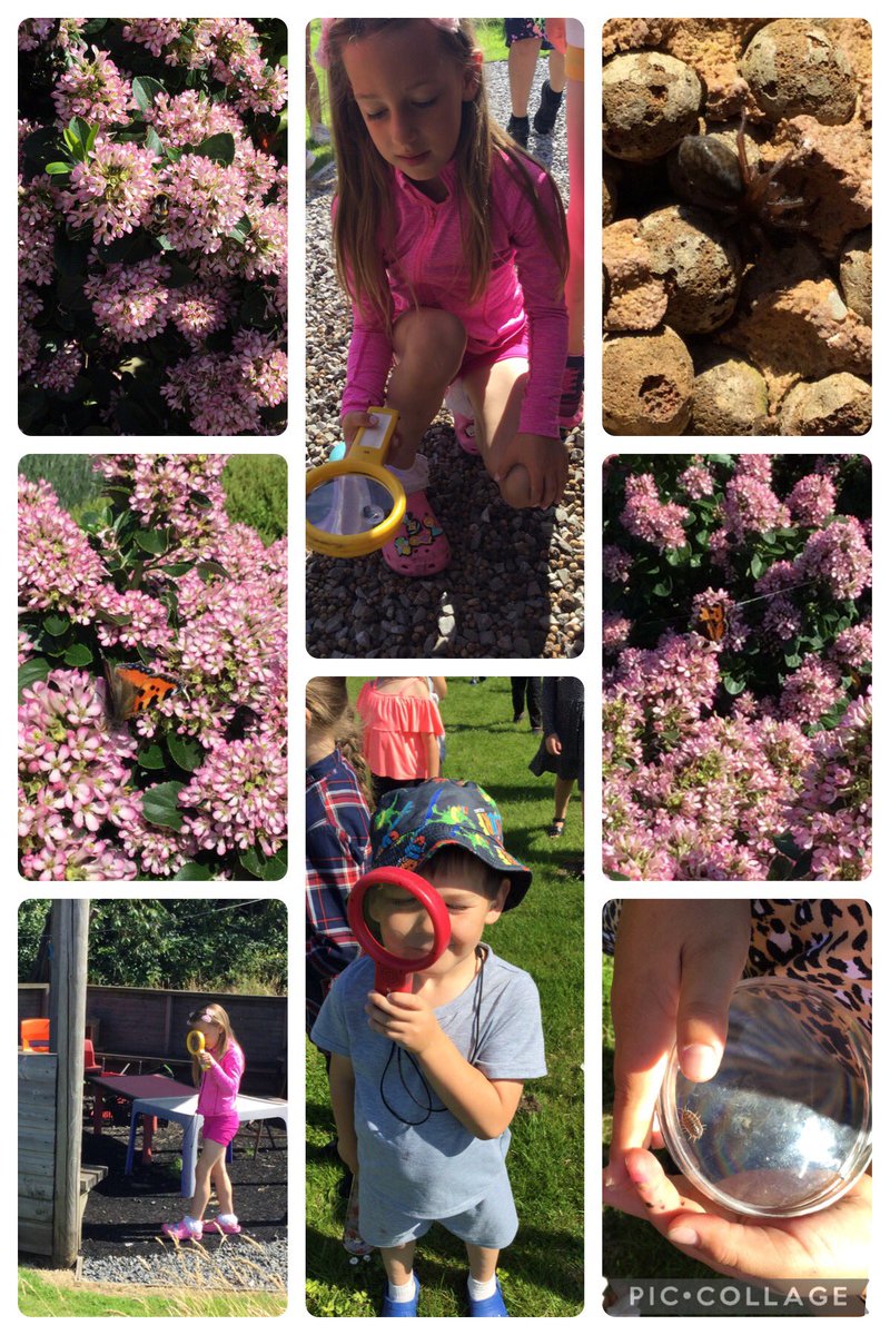 Trinant Primary (@trinantprimary) on Twitter photo Today in <a href="/foodandfunwales/">Food and Fun Wales</a> we have made kites and flown them on the school yard, played sport on the field and made the most of some shade when going on a bug hunt. <a href="/sport_leisure/">CCBC Sport Caerphilly</a> <a href="/HS_Caerphilly/">HS_Caerphilly</a> Today in <a href="/foodandfunwales/">Food and Fun Wales</a> we have made kites and flown them on the school yard, played sport on the field and made the most of some shade when going on a bug hunt. <a href="/sport_leisure/">CCBC Sport Caerphilly</a> <a href="/HS_Caerphilly/">HS_Caerphilly</a>