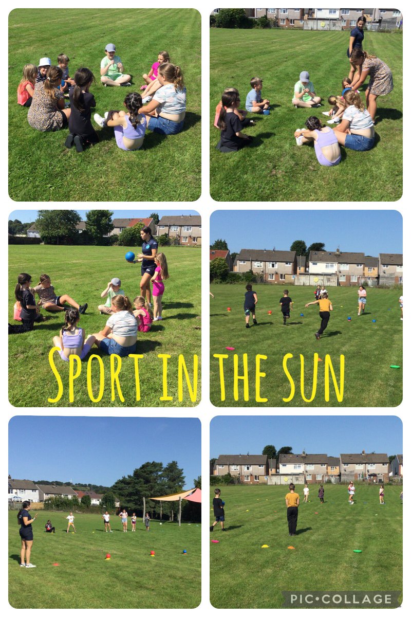 Trinant Primary tweet media