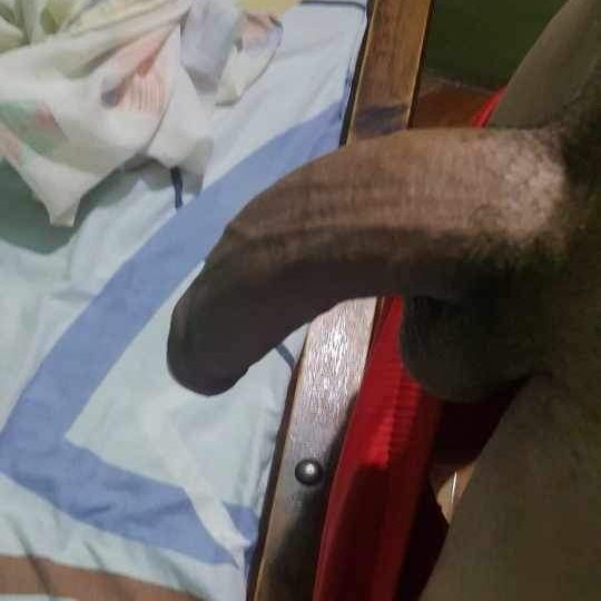 PAJAZO mañanero 🍆💦 04266825415, full morbo, llamada normal ☎️