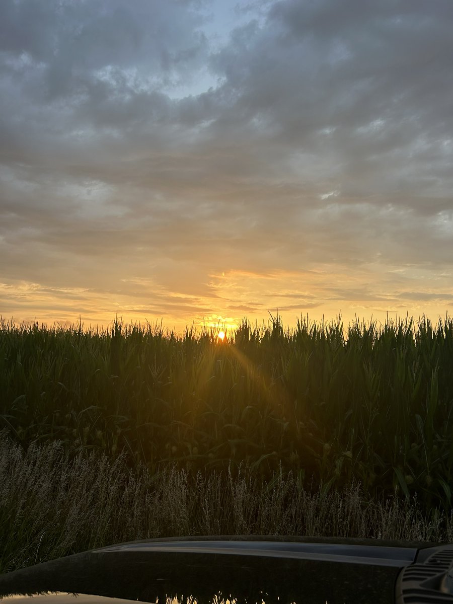 P10477V looking good this morning!