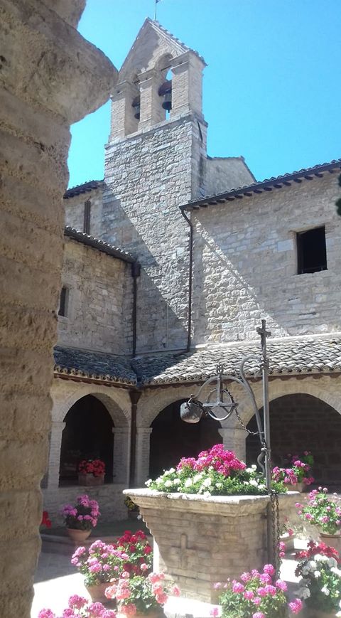#Buongiorno da #Assisi e da #SanDamiano e buona Festa dell'Assunzione della Beata Vergine Maria!

"Maria è assunta in cielo;
esultano le schiere degli angeli."

Foto di Silvia Cioffi (grazie!)