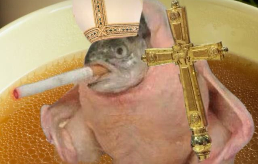 chicken fish smoking cigarette The Ultimate $SCF thesis: What is Smoking Chicken Fish? (@ChurchOfTheSCF)  The 