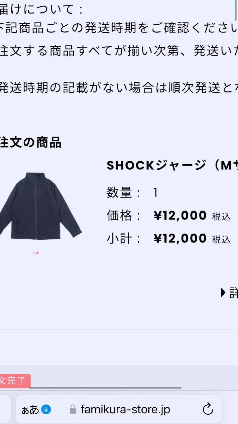Endless SHOCK 堂本光一 ジャージ&パンフレット パンフレット