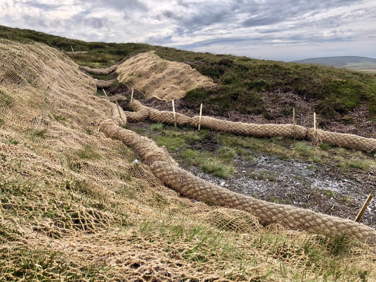What a treat to spend the afternoon at Beinn-y-Phott ⛰️ looking at the amazing work of <a href="/ManxPeat/">Manx Peat Partnership</a> (Manx Peat Partnership). They’ve achieved amazing things in a relatively short period and at reasonable cost too! 💚 #MyBiosphere #IsleOfMan belated #BogDay trip <a href="/manxnature/">Manx Wildlife Trust</a>