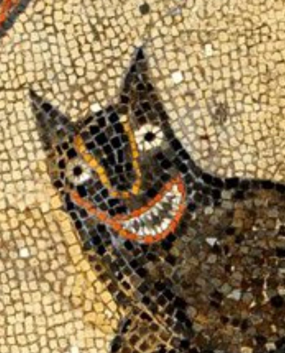 When your dog hears a bag of treats being opened. #MosaicMonday #ClassicsTwitter #Archaeology