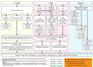 RodolfoJGalindo's tweet photo. https://t.co/rGRyDAQlwt 
From too many columns in 2009, to 3 KEY pillars in 2024... That is an update on #DKA management 
@ShivaniM_KC @RozalinaMD @ketandhatariya @nuhaaelsayed @DrBobGabbay @ADA_Pubs @ADA_DiabetesPro https://t.co/ylyl1ML9Qt