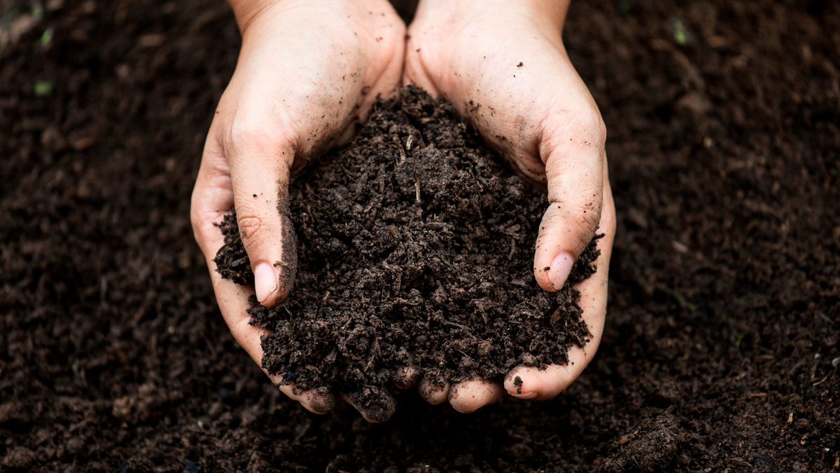 We are proud of the sustainable story behind Bio-Sul Premium Plus. Learn more about how we combine Class 1 compost and elemental sulphur to create a sustainable nutrient source. ♻️➡️ gflagri.com/how-it-works/