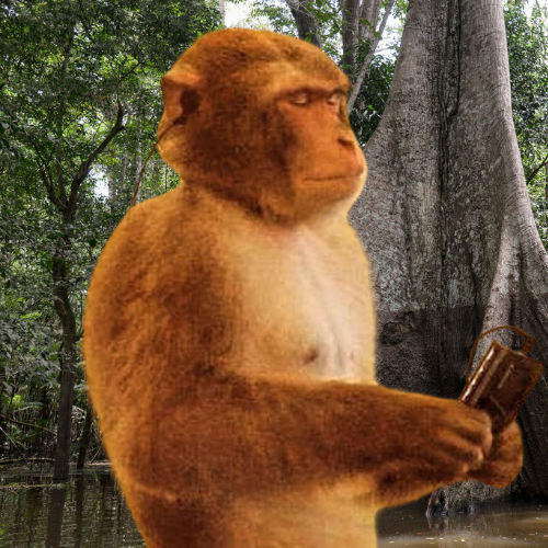 Monkey party three tweet media