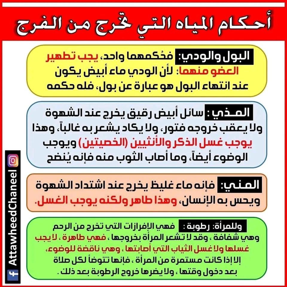 sonatwhed's tweet photo. https://t.co/JDbHrNLeMz