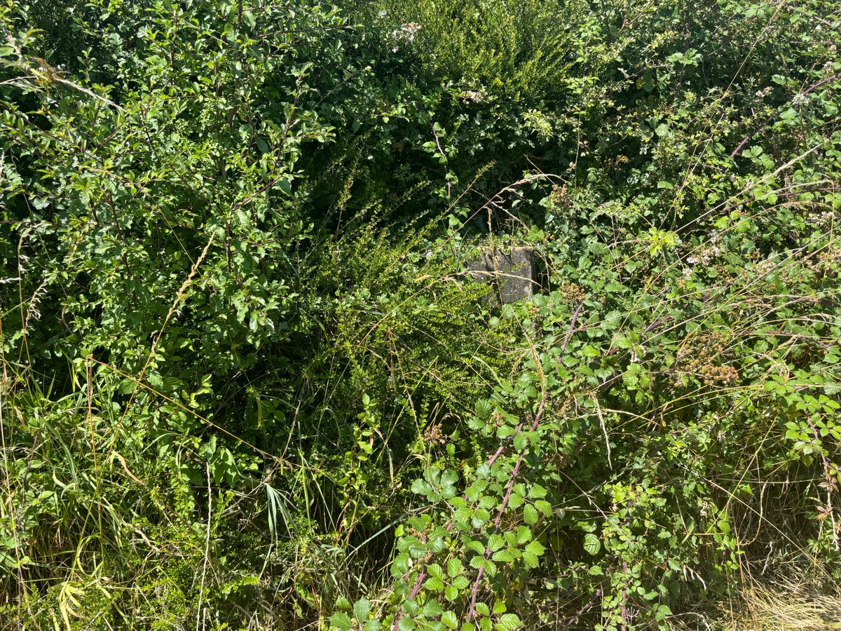 Two Dogs & an Awning (@2dogsawning) on Twitter photo My 441st <a href="/ordnancesurvey/">Ordnance Survey</a> #trigpillarbagged today hiding in a hedge at Broad Green (Grid Ref: SO768556) on a 10 mile circuit from Ankerdine Common whilst staying at Bromyard CAMC <a href="/candmclub/">Caravan and Motorhome Club</a> #trigbagging #charitywalk #trigbagger #bootsonmiles #getoutside My 441st <a href="/ordnancesurvey/">Ordnance Survey</a> #trigpillarbagged today hiding in a hedge at Broad Green (Grid Ref: SO768556) on a 10 mile circuit from Ankerdine Common whilst staying at Bromyard CAMC <a href="/candmclub/">Caravan and Motorhome Club</a> #trigbagging #charitywalk #trigbagger #bootsonmiles #getoutside