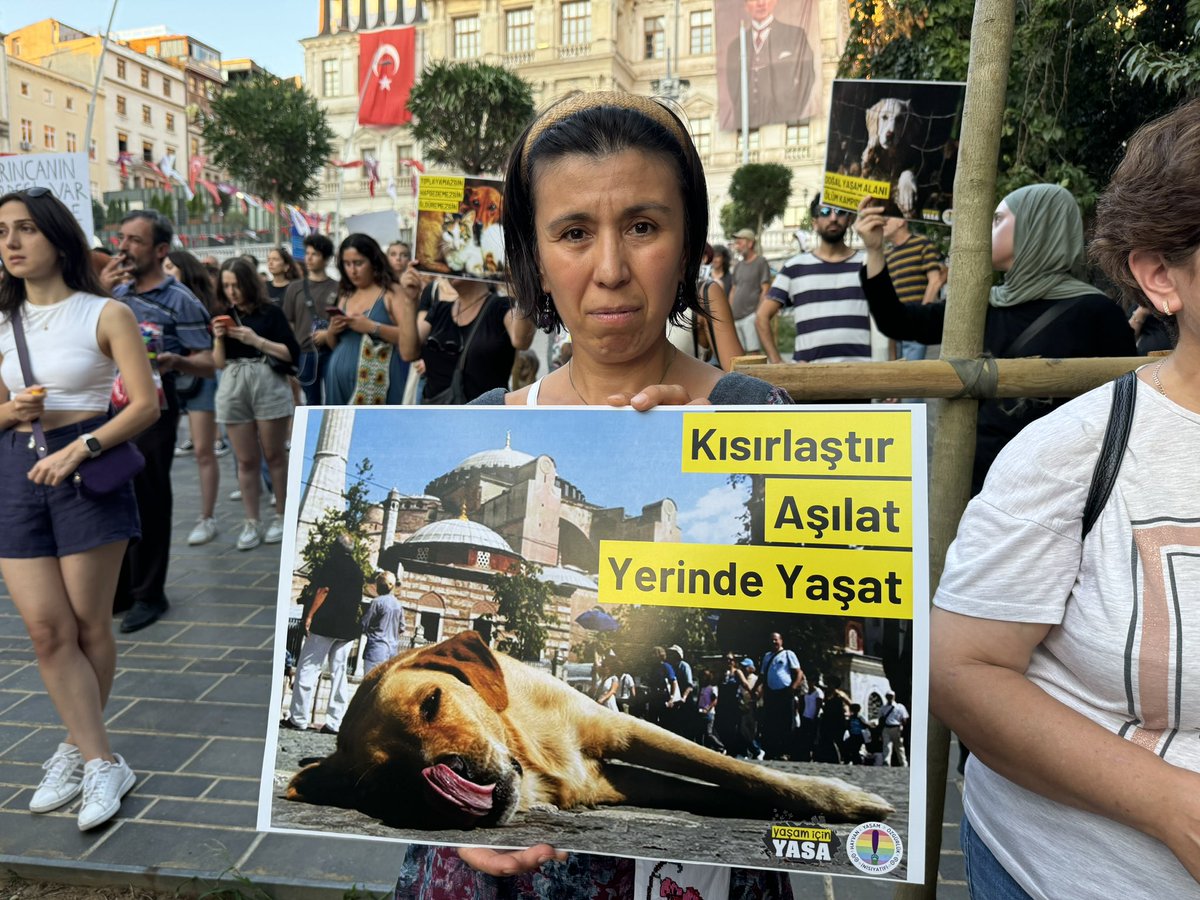 #SokaktayımYanındayım 🐾“Susmuyoruz, korkmuyoruz, dostlarımızı vermiyoruz”

🗣️ Şişhane Meydanı’ndaki ‘ölüm yasası’na karşı yapılan eyleme katılan hayvan hakları savunucusu: “Ben kavgadan korkarım ama mahallemdeki tek bir köpeği almaya gelsinler kavga etmekten hiç çekinmeyeceğim”