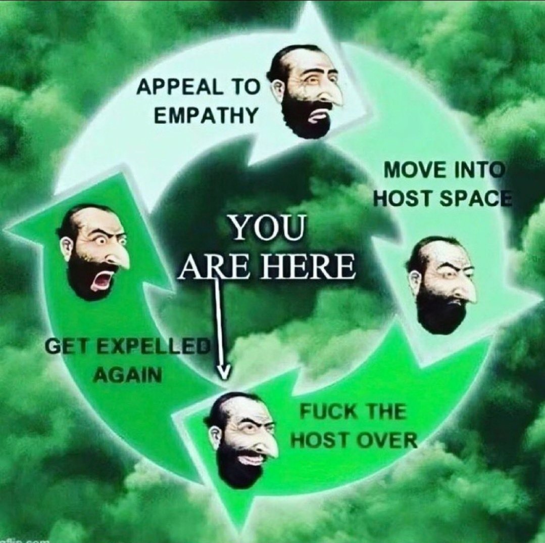 PStewed's tweet image. #PatternRecognition