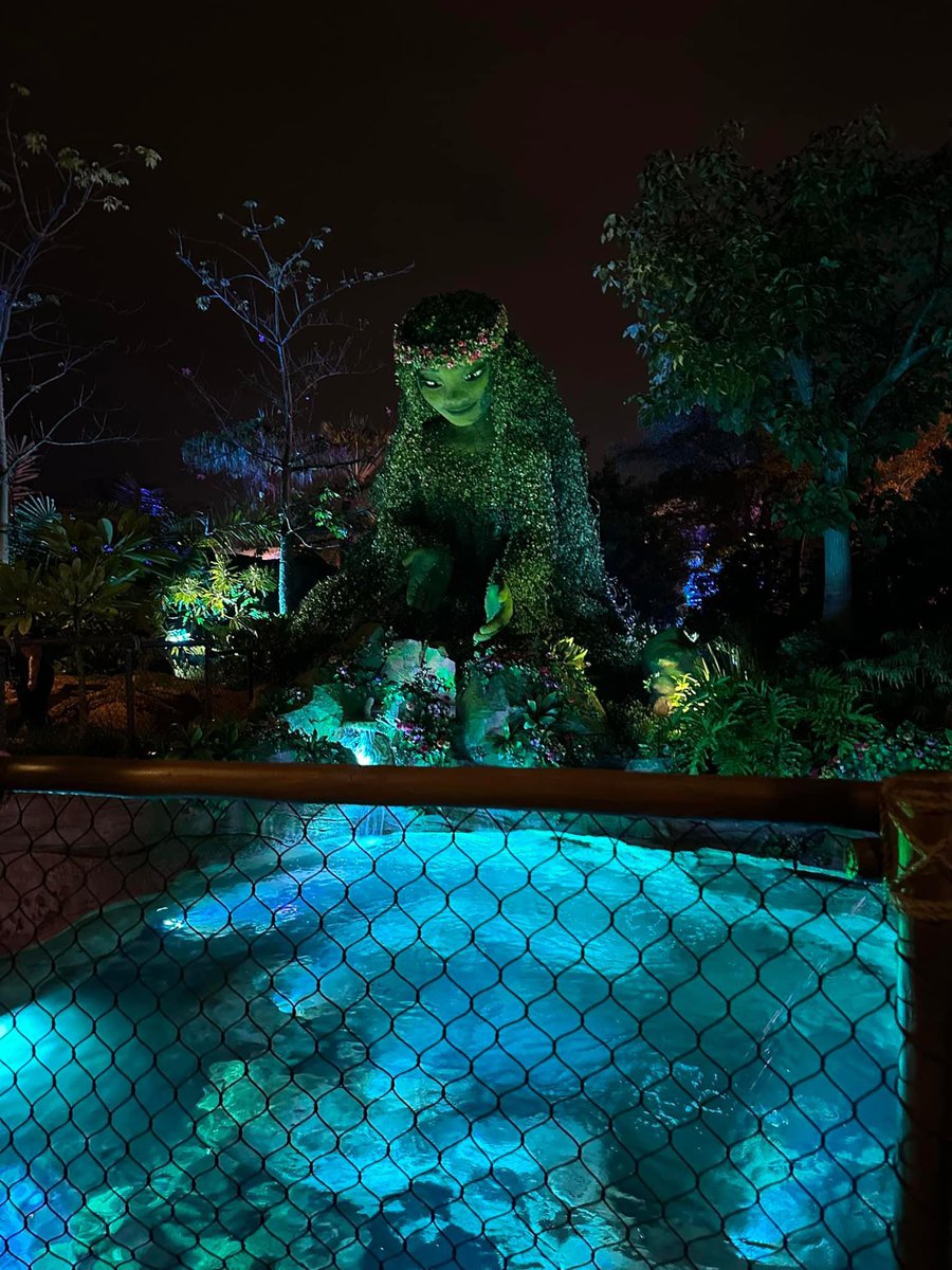 Disneyenchants's tweet photo. Did you know….
Astronomers researched what the night skies would have looked like 2,000 years ago for the movie Moana!
#disney #disneyworld #disneyplanning #funfacts #epcot #moana #astronomy #disneytipsandtricks #tefiti #disneymom #disneyparks #moviefacts #movies https://t.co/N71QJQ294R