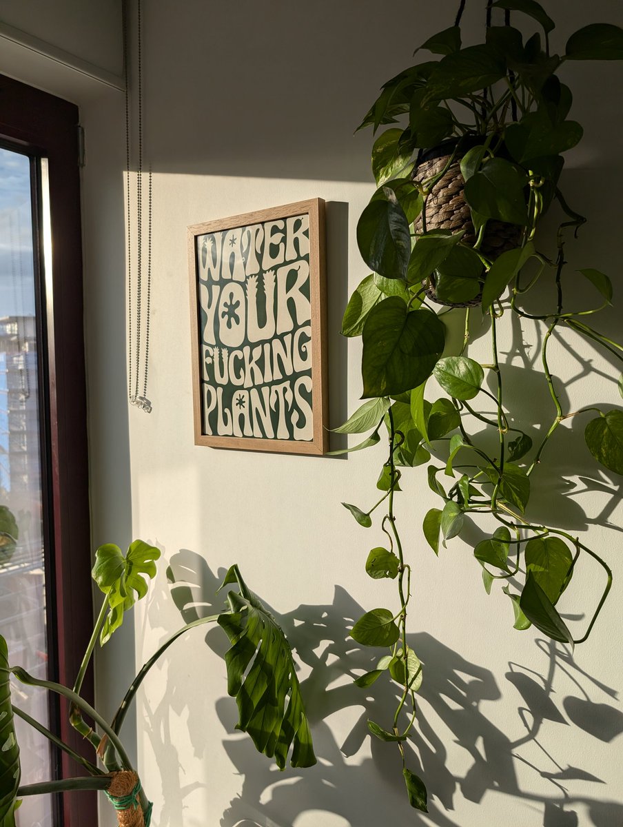 Friendly reminder 🪴🌿