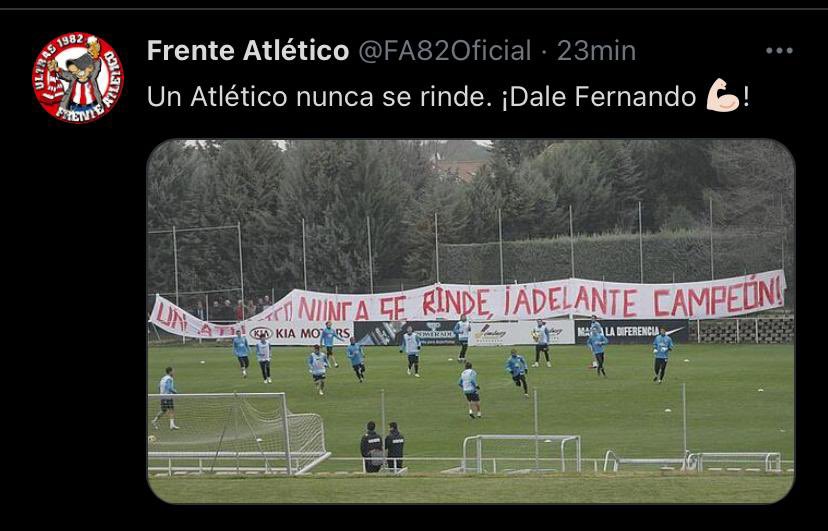 Fernando tweet media