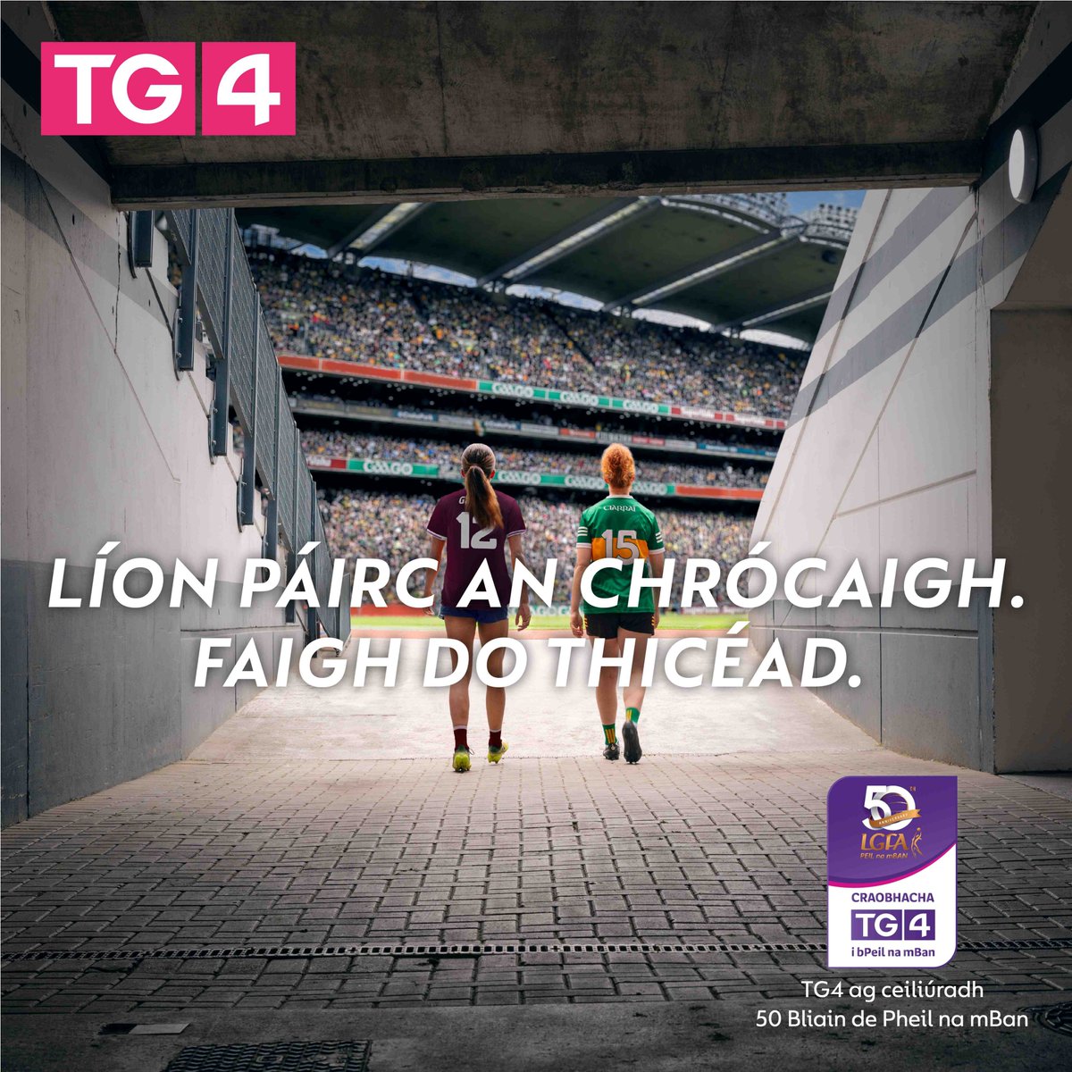 LadiesFootball's tweet photo. The countdown continues!⏳

Get your tickets now for next Sunday's @TG4TV All-Ireland Ladies Football Finals at @CrokePark! 🏆

Full details ➡️ https://t.co/5EYQmgRPLX 🎫🎟️

@SportTG4 @fermanaghladies @LouthLGFA @LeitrimLGFA @LgfaTyrone @GalwayLgfa @kerryladiesfoot

#ProperFan https://t.co/bF5PWStXTo