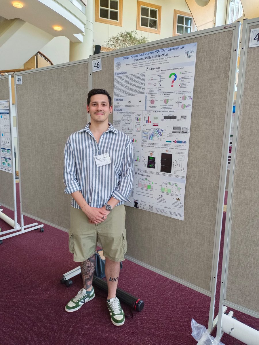 Fabio Turetti tweet media