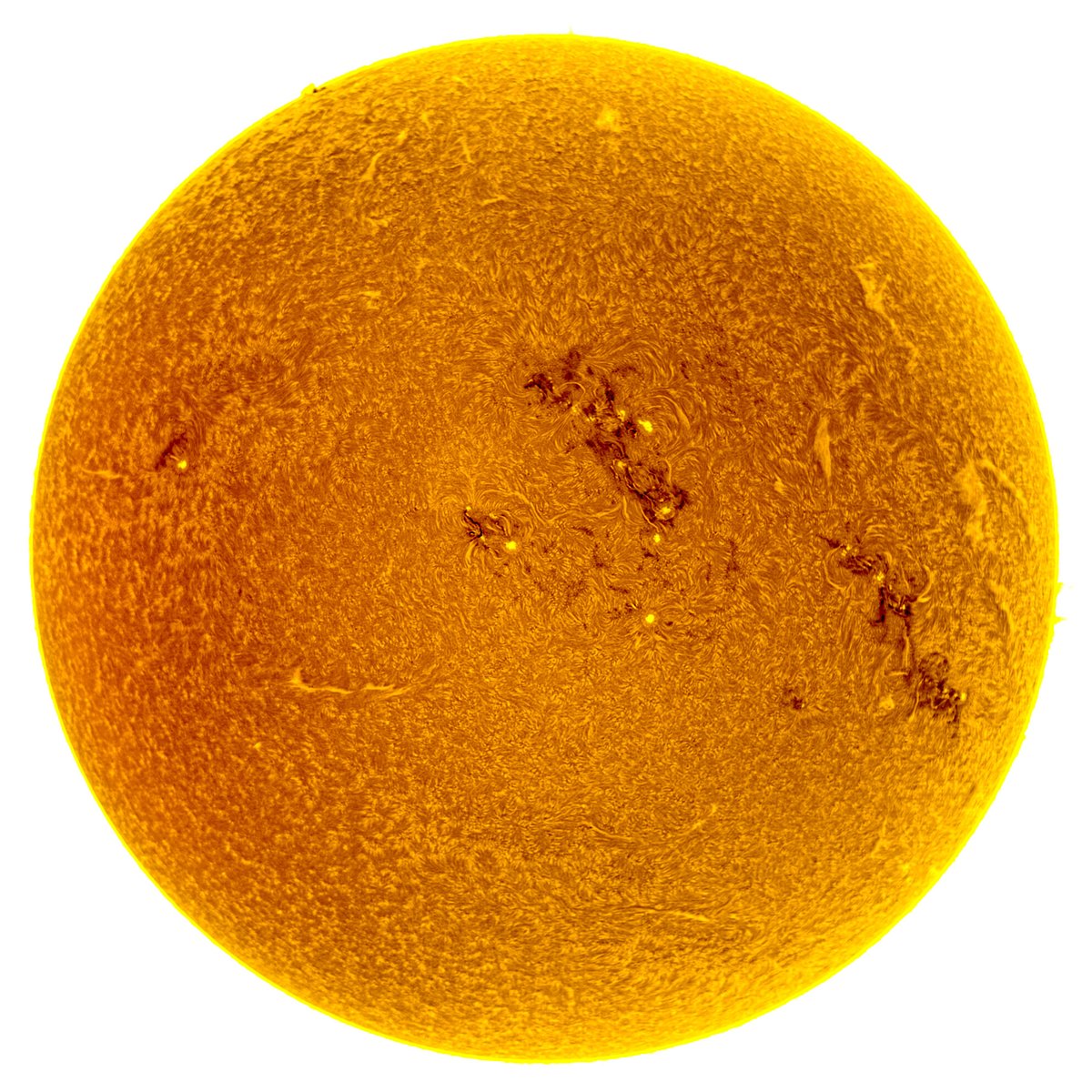 pbaumg's tweet photo. Die Sonne heute Mittag. Aufgenommen mit dem LUNT LS60THa und einer ZWO ASI178MM Kamera.
#sun #astrophotography #zwo #LUNT https://t.co/maEj46Q5D1