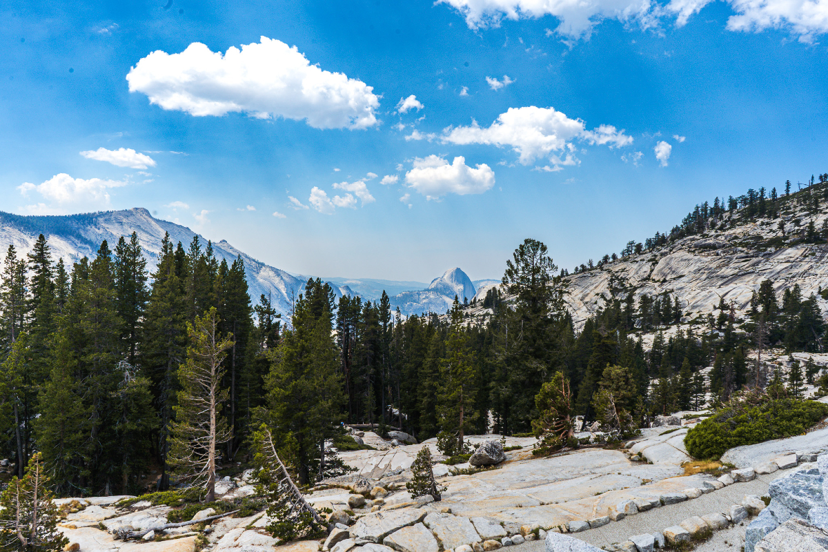 justindepascale's tweet photo. Half dome from Yosemite Olmsted Point! https://t.co/etJn6cIUbi