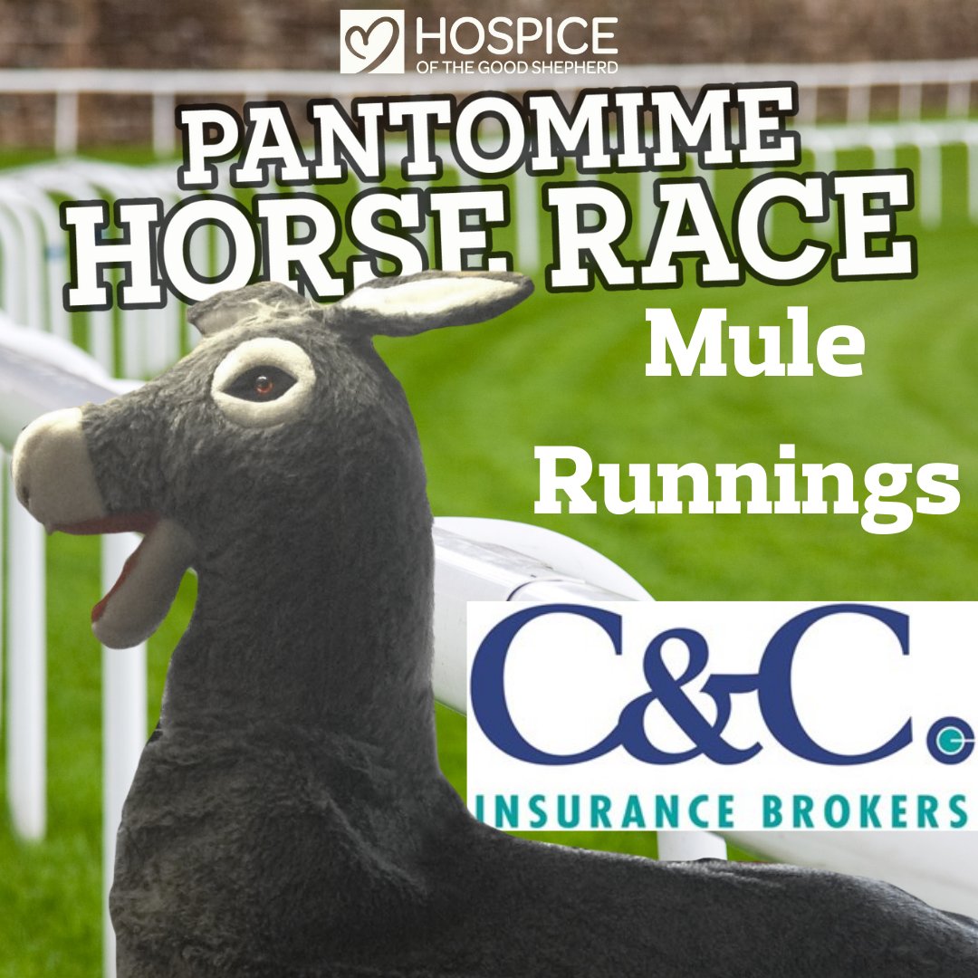 C&C Insurance Brokers (@ccibuk) on Twitter photo Only 6 days to go until our Donkey 'Mule Runnings' takes part in the Pantomime Horse race at <a href="/ChesterRaces/">chesterraces</a> for Hospice of the Good Shepherd! <a href="/HospiceGS/">Hospice of the Good Shepherd</a> Please support us and this wonderful cause! tinyurl.com/4jn29tpw Only 6 days to go until our Donkey 'Mule Runnings' takes part in the Pantomime Horse race at <a href="/ChesterRaces/">chesterraces</a> for Hospice of the Good Shepherd! <a href="/HospiceGS/">Hospice of the Good Shepherd</a> Please support us and this wonderful cause! tinyurl.com/4jn29tpw