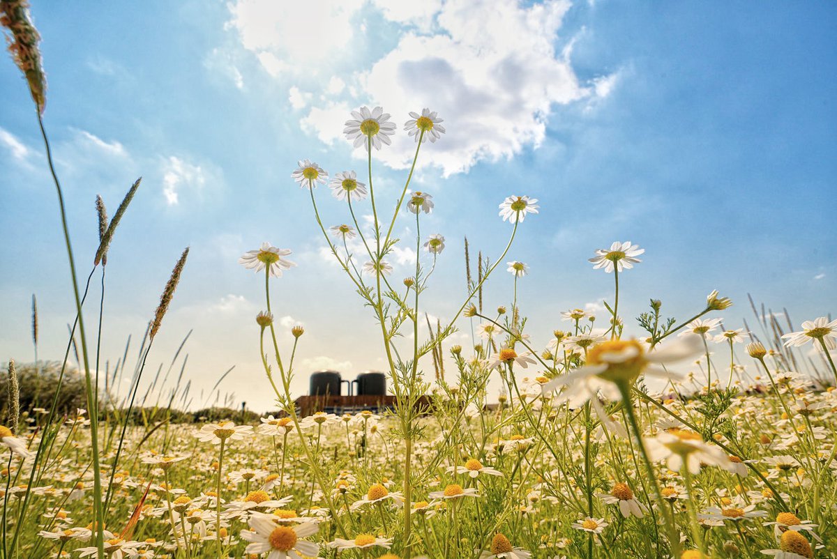 It’s a beautiful day in Suffolk ☀️
#commercial #photographer 📸