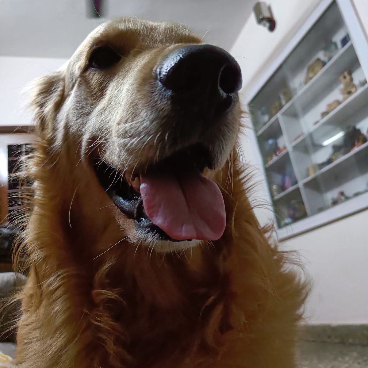 writetake's tweet photo. According to #Casper (in pic, @casperthegolden), a defence reporter with Tales magazine, the AESA radar currently fitted on #TejasMk1A is giving big trouble. This according to him, is a matter of concern. He is expected to share more details in the upcoming Part-3 of #GodSaveHAL series on #TMH channel.
#AKM 🇮🇳