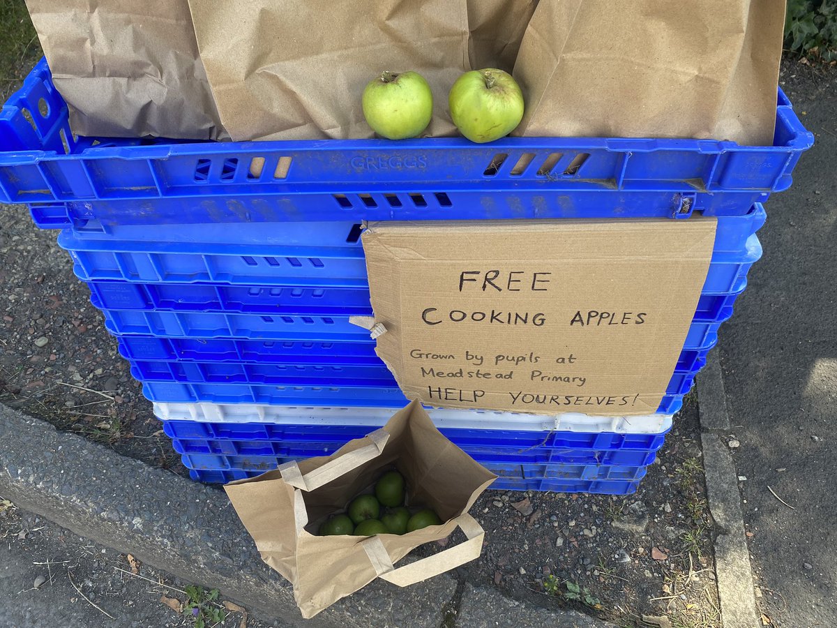Thankyou so much to our lovely volunteers who came to help tidy up the outdoor area - it looks so much better. We even managed to gather a fruit haul of cooking apples. Feel free to drop by and take a bag from outside school! #teammeadstead #royston #barnsley