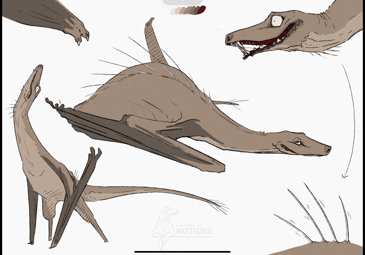 Complementary guys from my own project, [Kernel] :