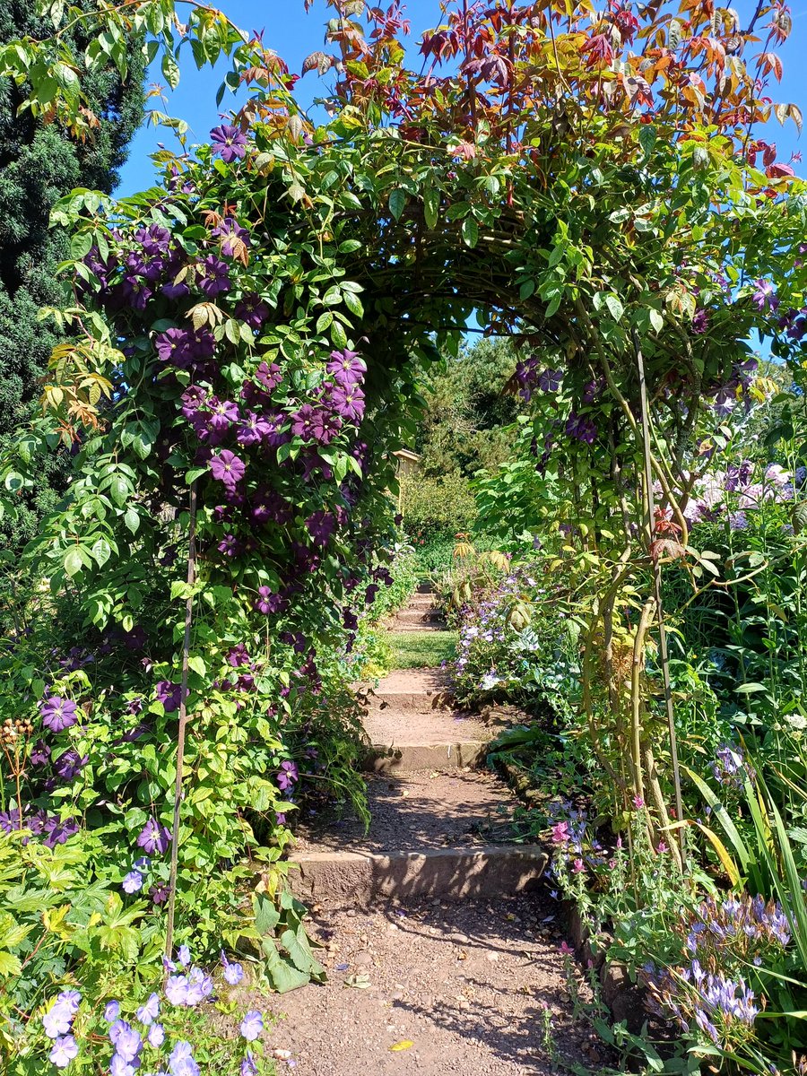 kendie's tweet image. A lovely few hours at Dorothy Clive Garden. I go there to remember Mum as Mum loved visiting. The heart I knit for Mum on the first anniversary is still there but it has been moved slightly to a different place. 
#dorothyclivegardens #rememberingmum #mymum
