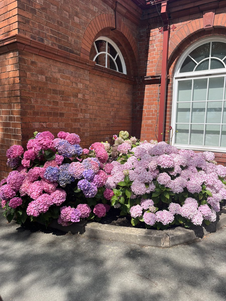 The Salopian Club tweet media