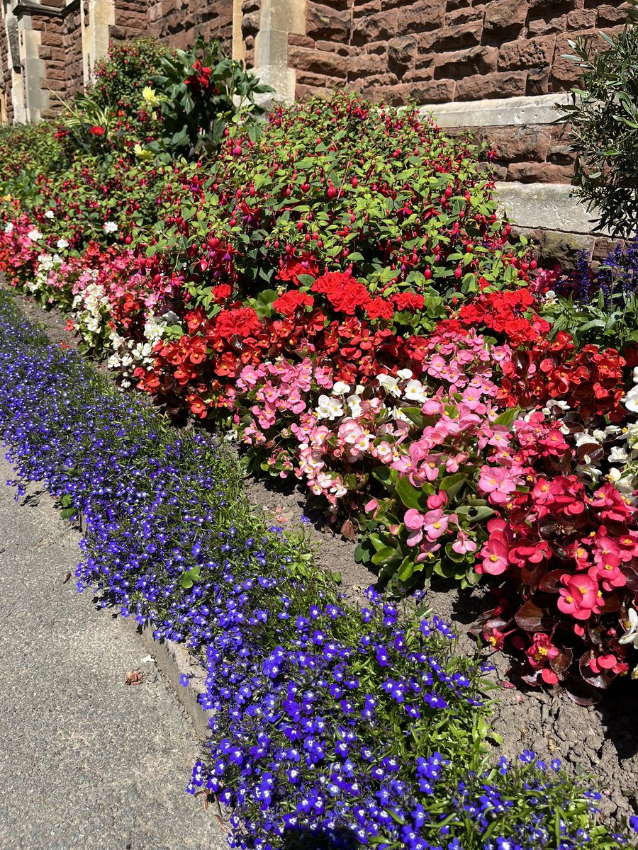 The Salopian Club tweet media